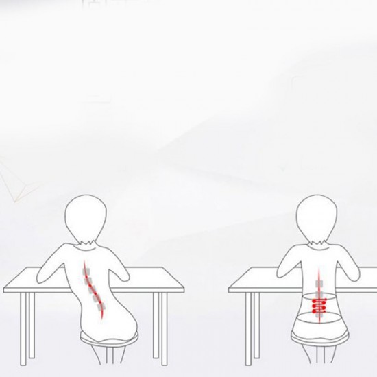 Adjustable Lumbar Support Belt Lower Back Brace